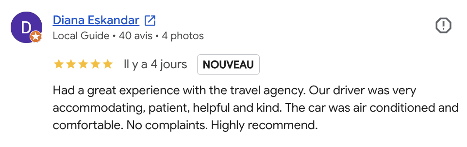 Google Review 9