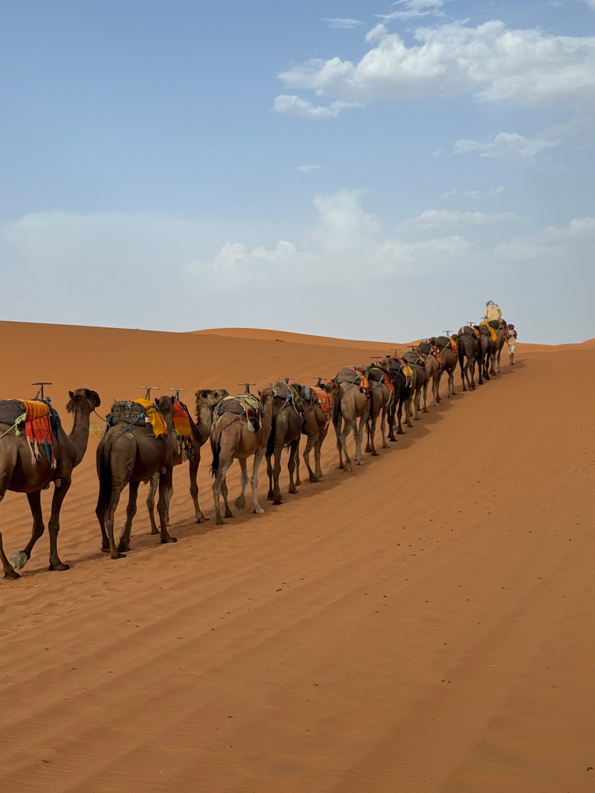 Desert Tour View 3