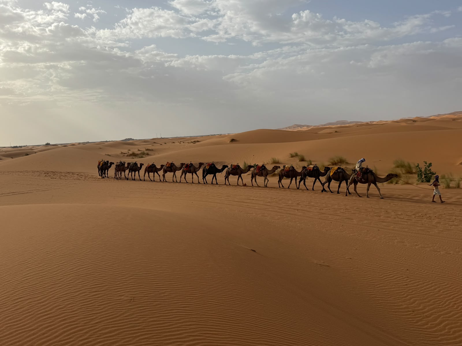 Desert Tour View 5